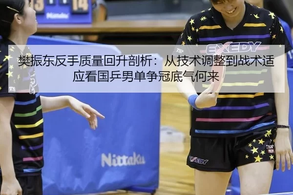 樊振东反手质量回升剖析：从技术调整到战术适应看国乒男单争冠底气何来